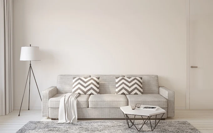 Clean light-gray fabric sofa in a bright living room
