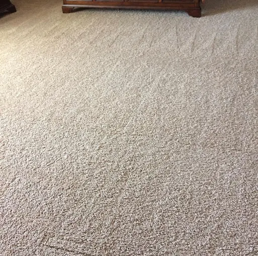 Deep-cleaned plush carpet with fresh vacuum lines
