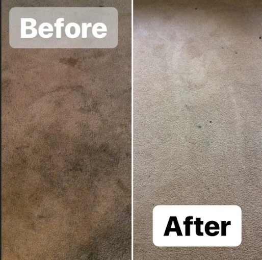 Before and after: heavily soiled carpet cleaned back to like-new by Pure Carpet Cleaners